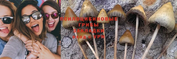 apvp Заводоуковск