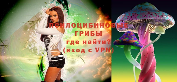 apvp Заводоуковск