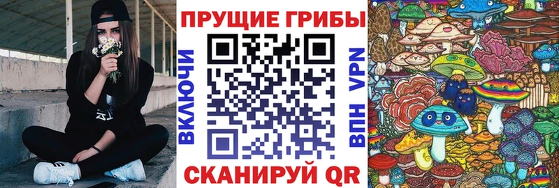 Псилоцибиновые грибы MAGIC MUSHROOMS  Купить закладки  Кизел 